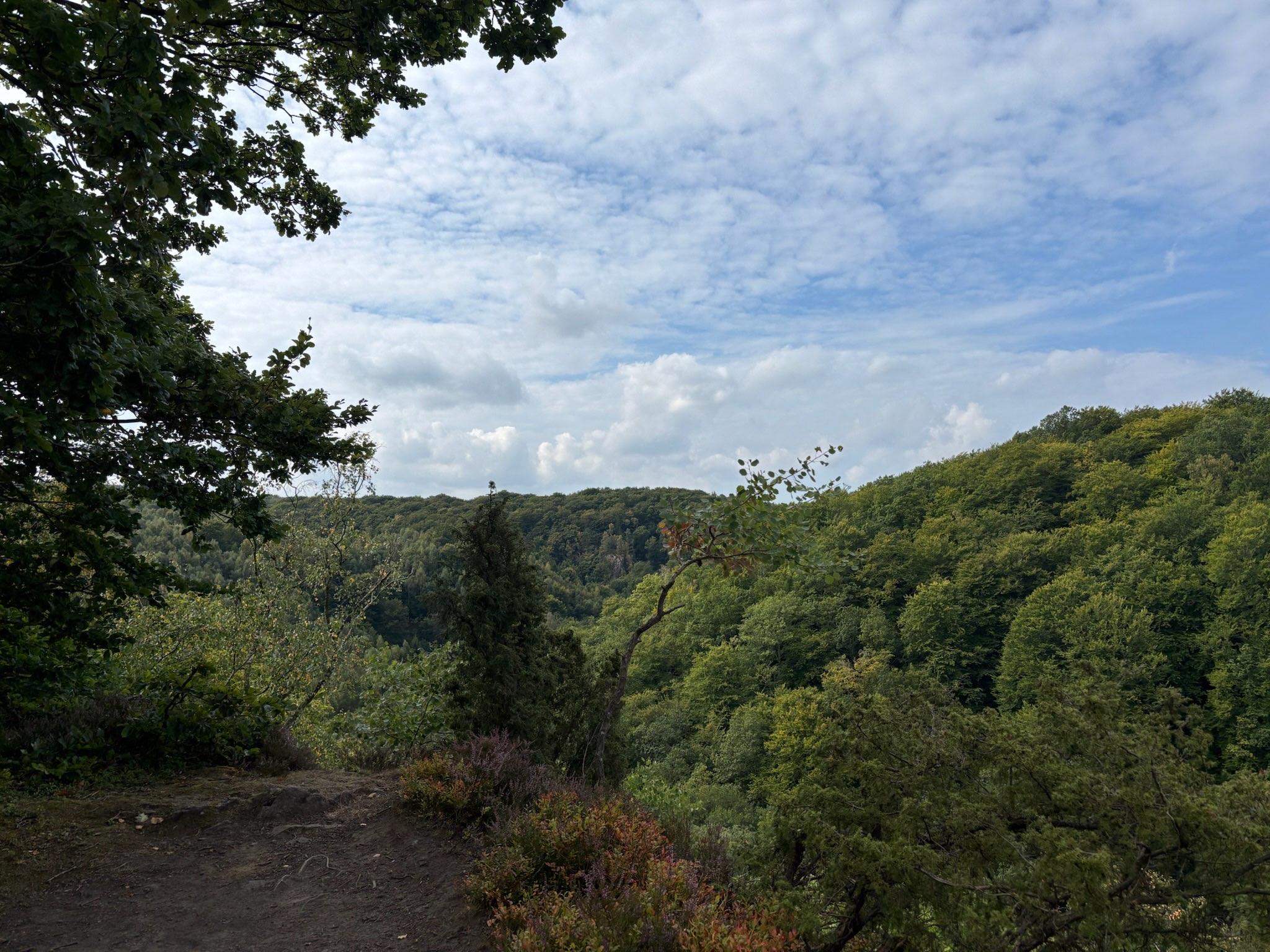 Trail walk