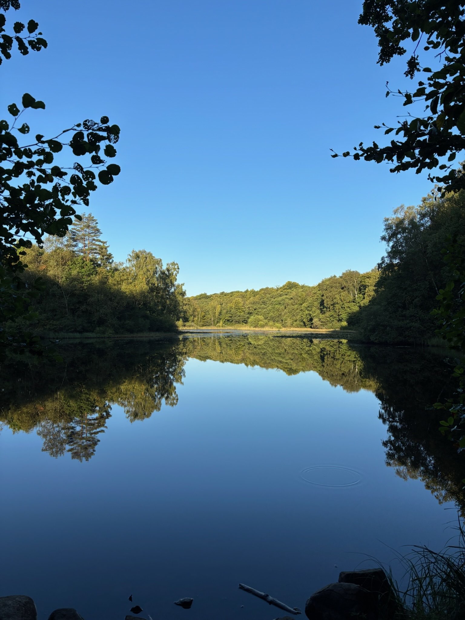 Scenic trail
